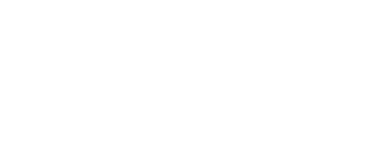 N-Dubz Logo